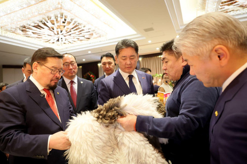 ubpress/image/2025/12/12/bepvd6c9i5dxc0hi/Хүнсний